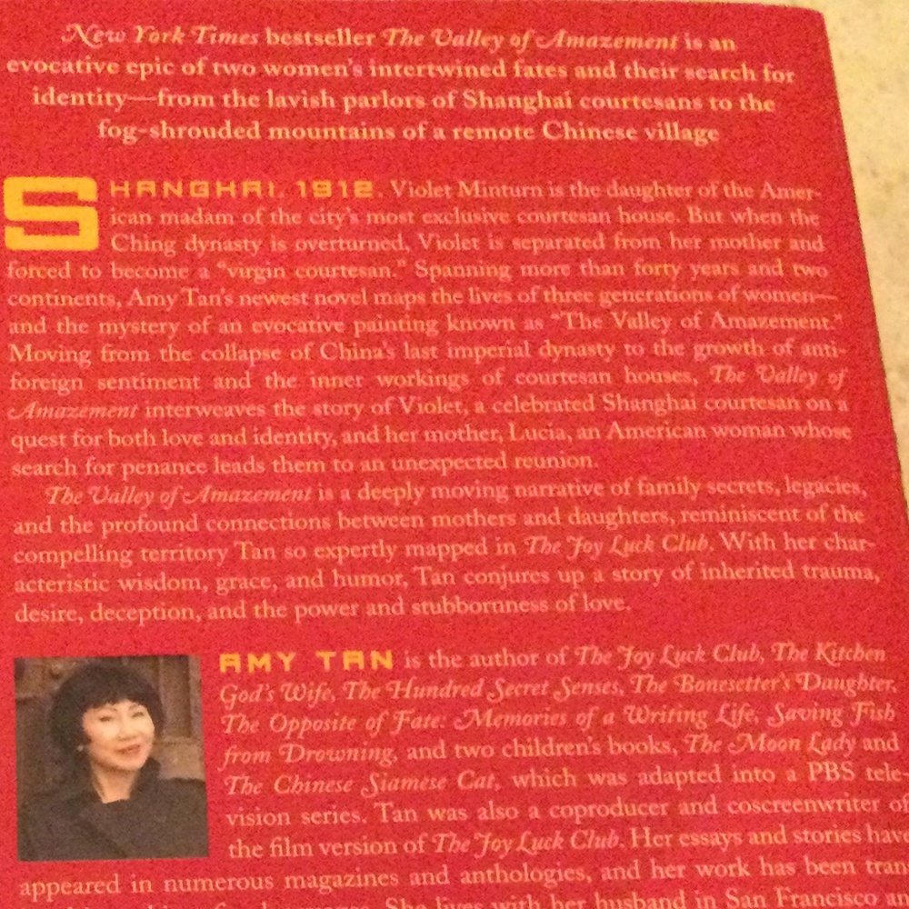 Amy Tan Collection - Picture 3 of 12